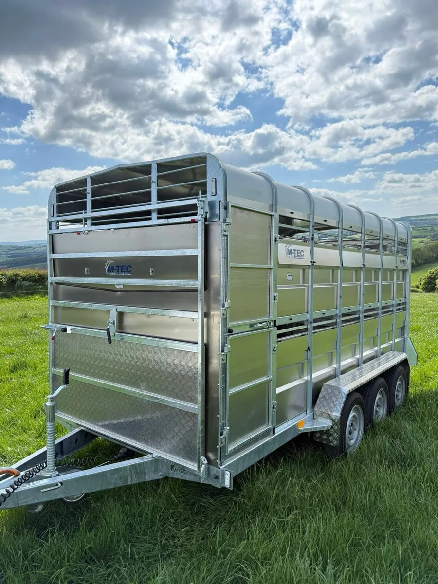 14ft M-TEC Livestock Trailer - Image 1