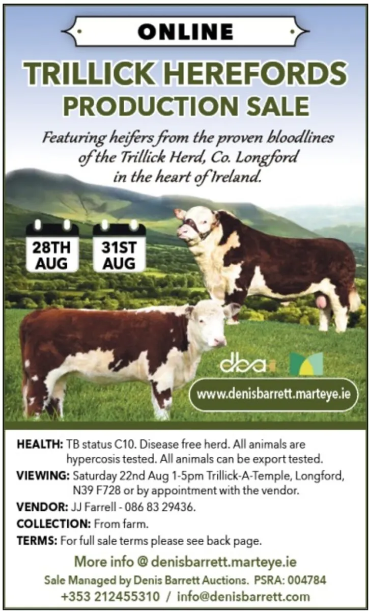 Trillick Herefords Production Sale - Image 1