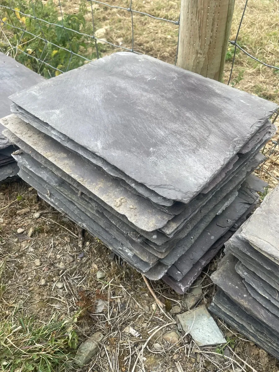 Blue Bangor slates & Clay ridge caps - Image 1