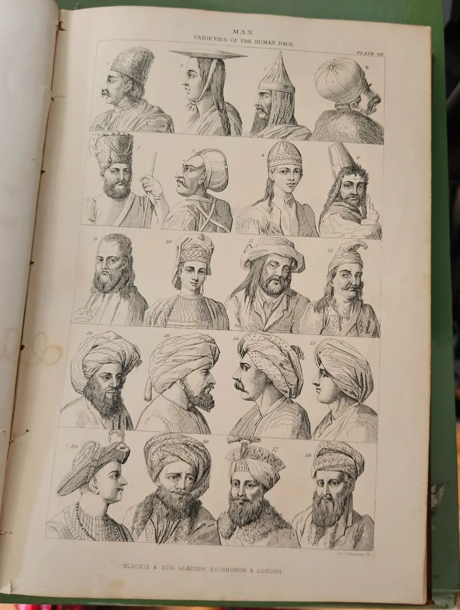 Goldsmiths Animated Nature Vol2 History of Animals - Image 4