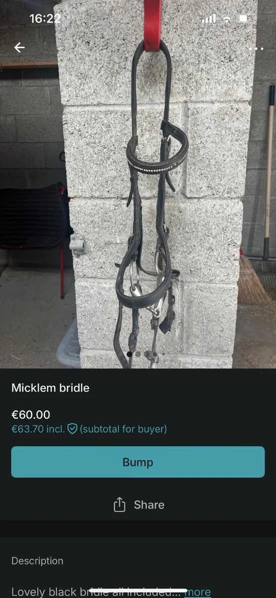 Equine equipment - Image 4