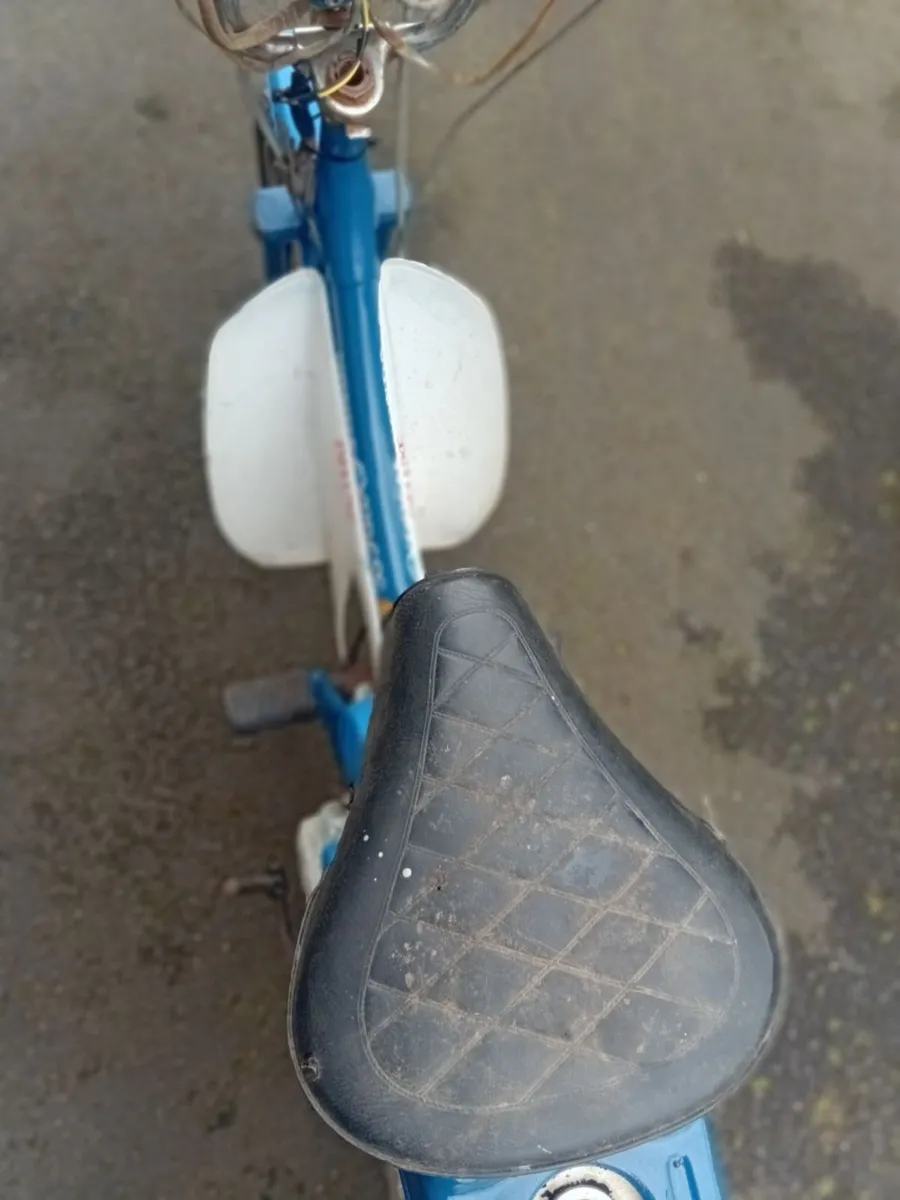1983 Honda Express for sale . - Image 3