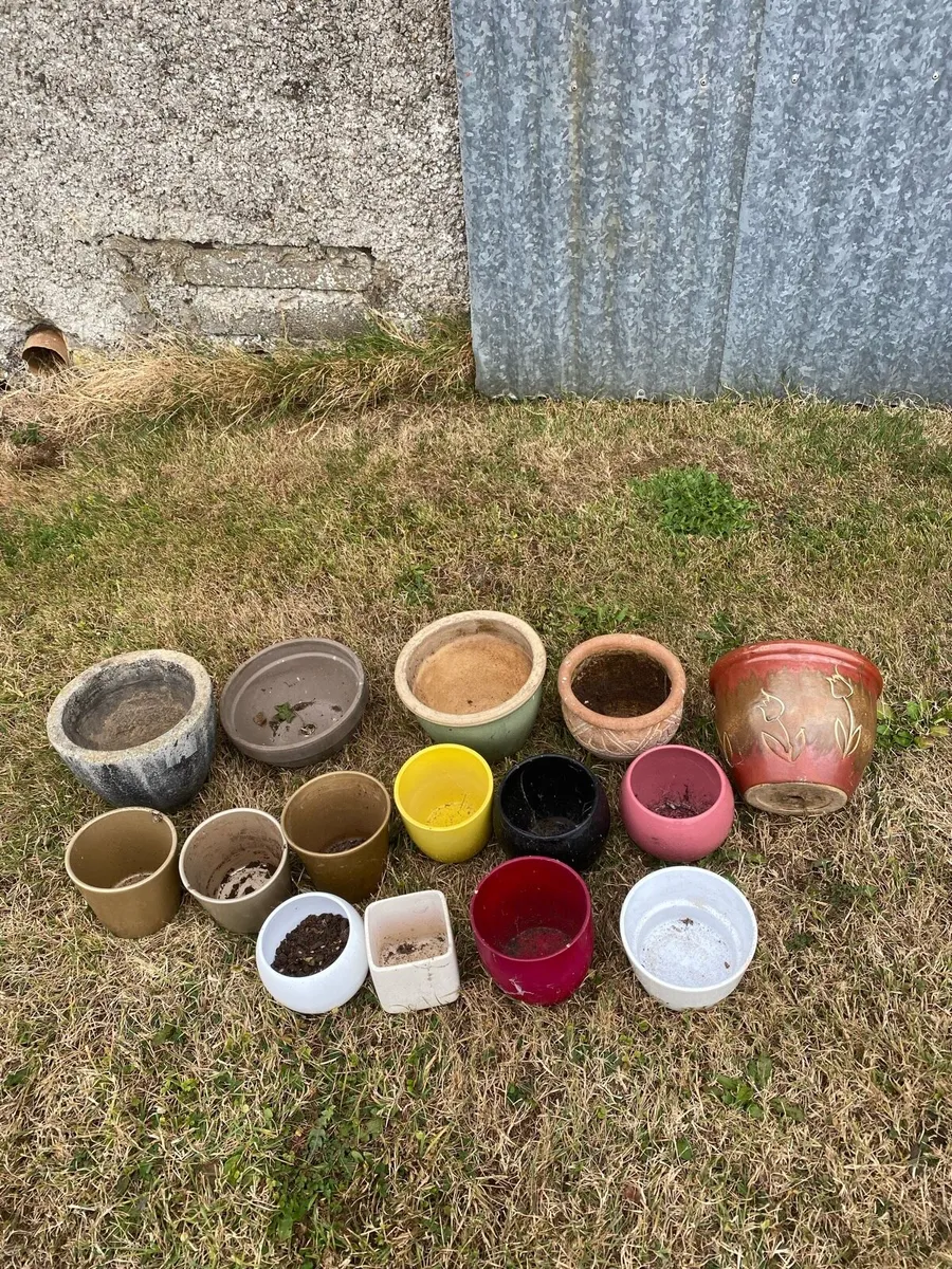 15 Delph Plant pots & around 50 others - Image 1