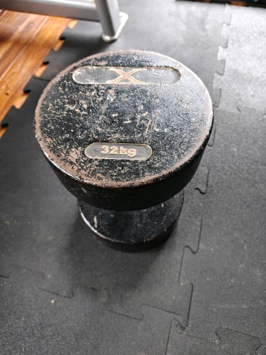 Dumbbell 32 kg gym equipment - Image 1