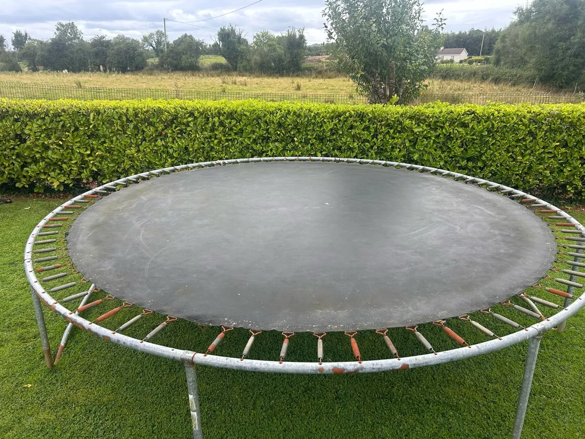 Trampoline - Image 3