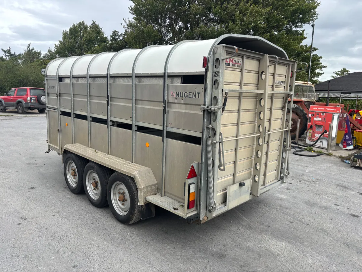 nugent 14ft livestock trailer with sheep decks - Image 4