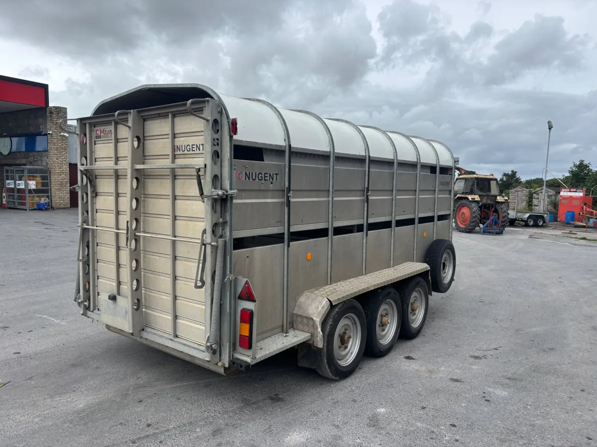 nugent 14ft livestock trailer with sheep decks - Image 3