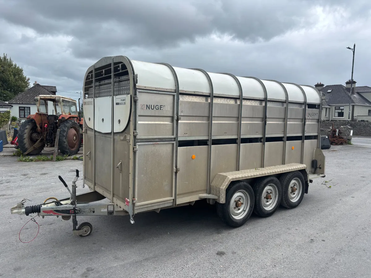 nugent 14ft livestock trailer with sheep decks - Image 2