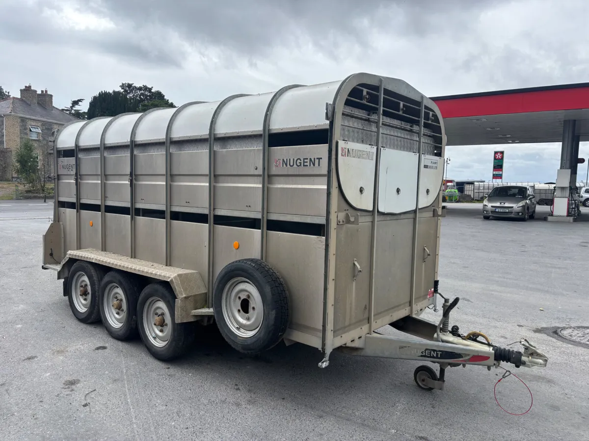 nugent 14ft livestock trailer with sheep decks - Image 1
