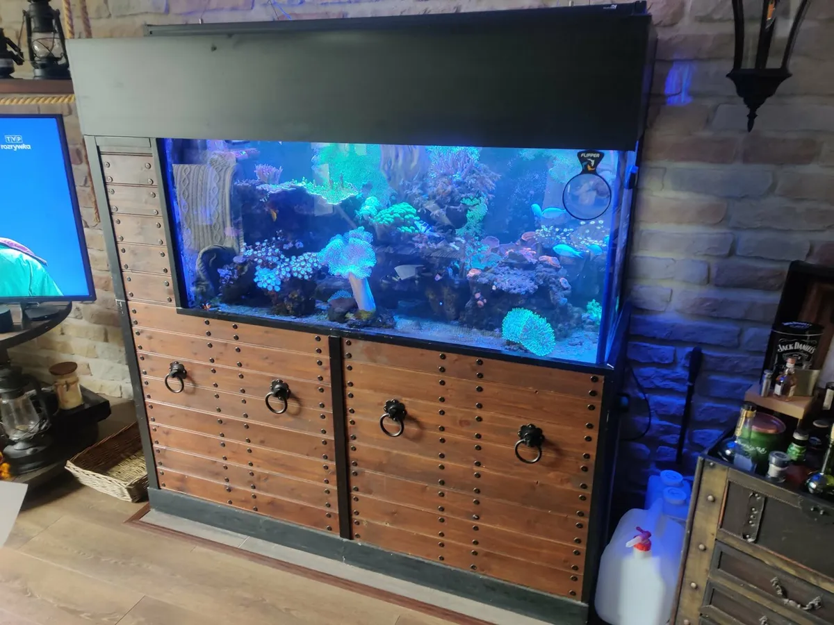 Fish tank - Image 1