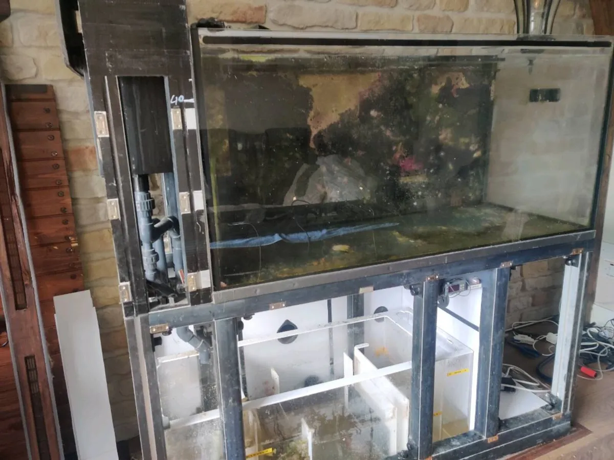 Fish tank - Image 2
