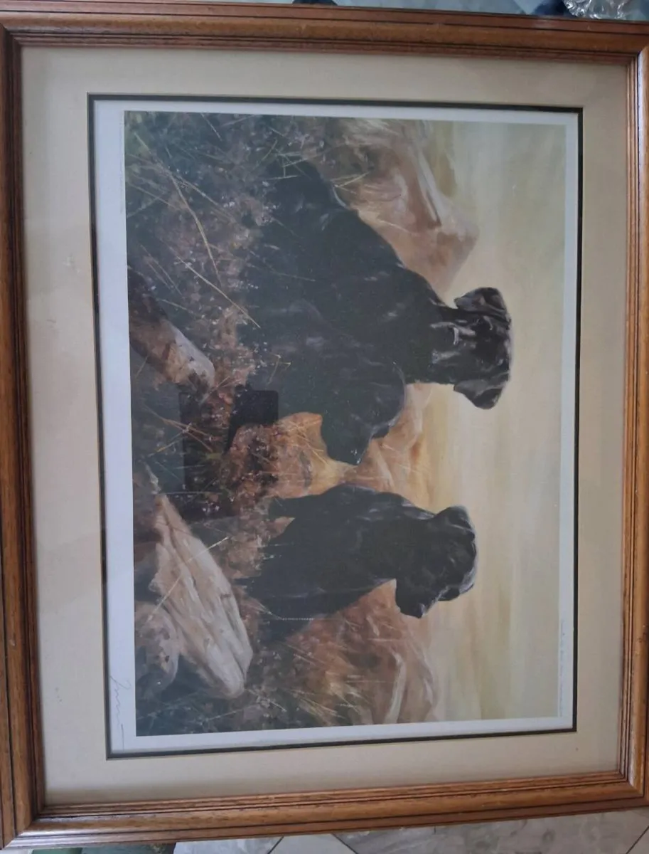 Picture - Image 3