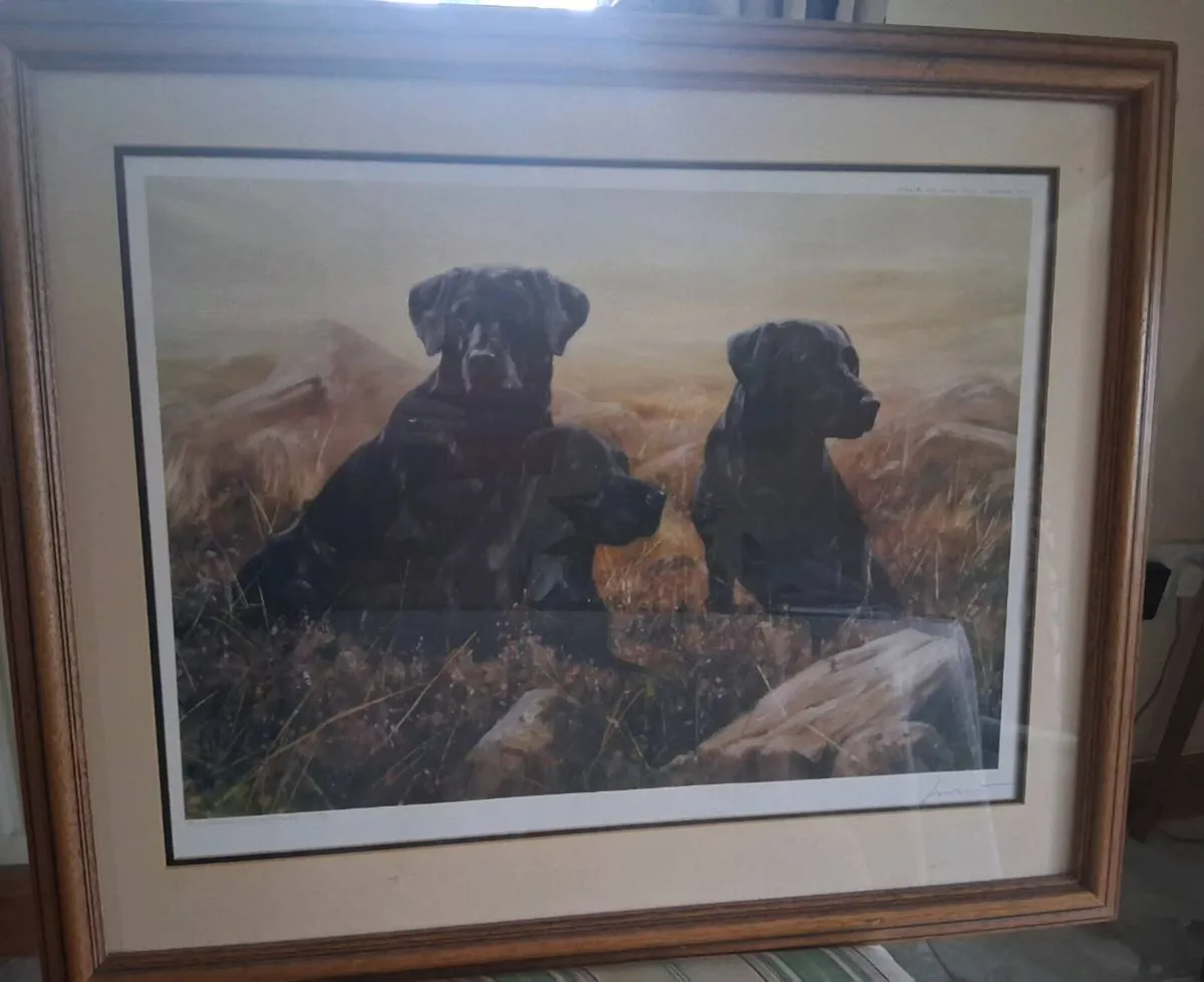 Picture - Image 1