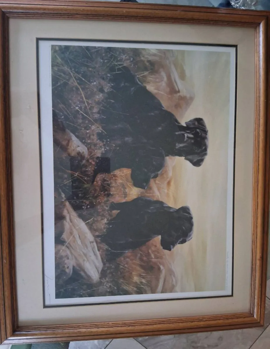 Picture - Image 2