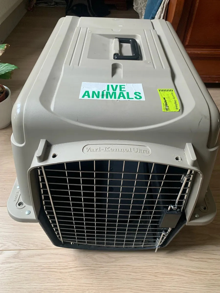 Dog or cat travel carrier - Image 2