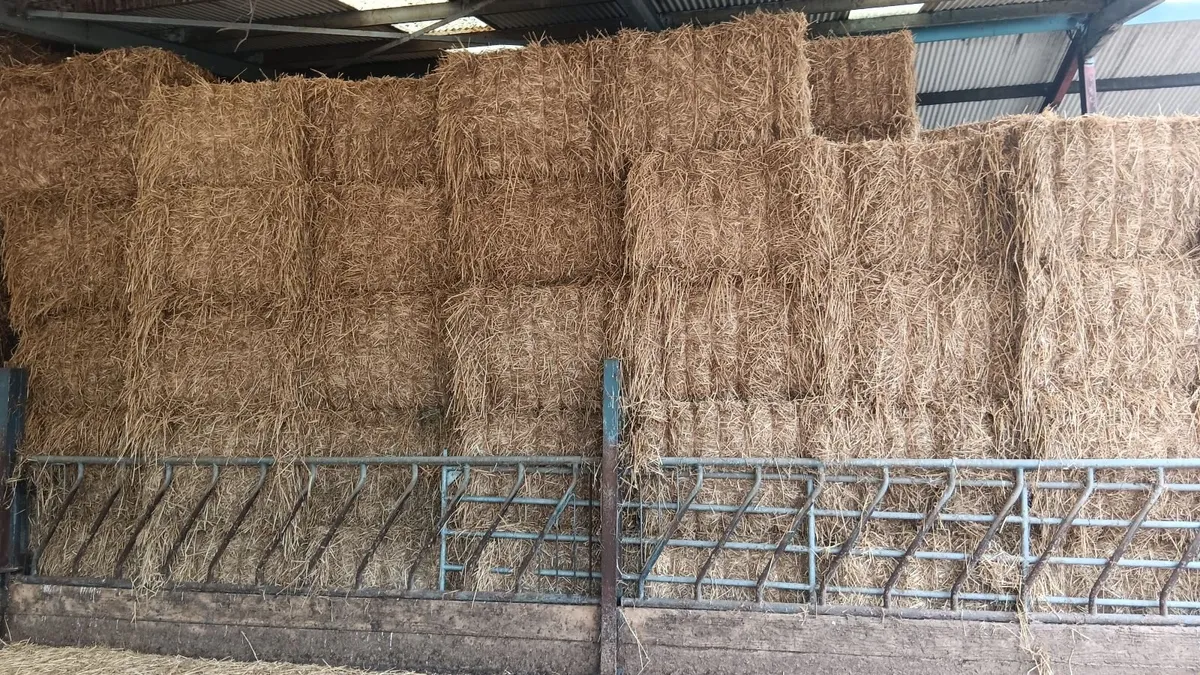 Wheaten straw - Image 1