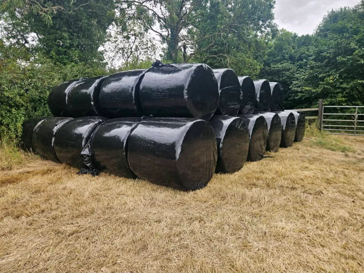 Haylage 120 bales