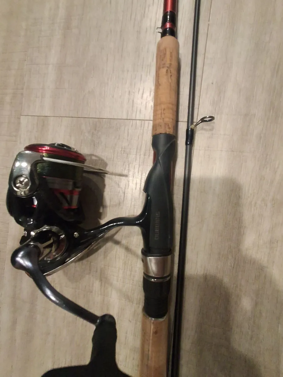 Fishing - Image 4