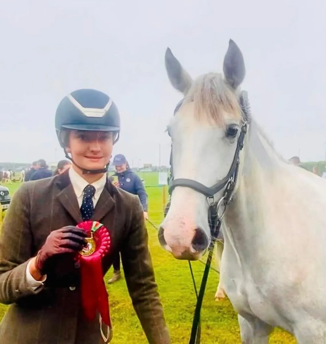 Connemara Riding Pony 15.1hh - Image 2