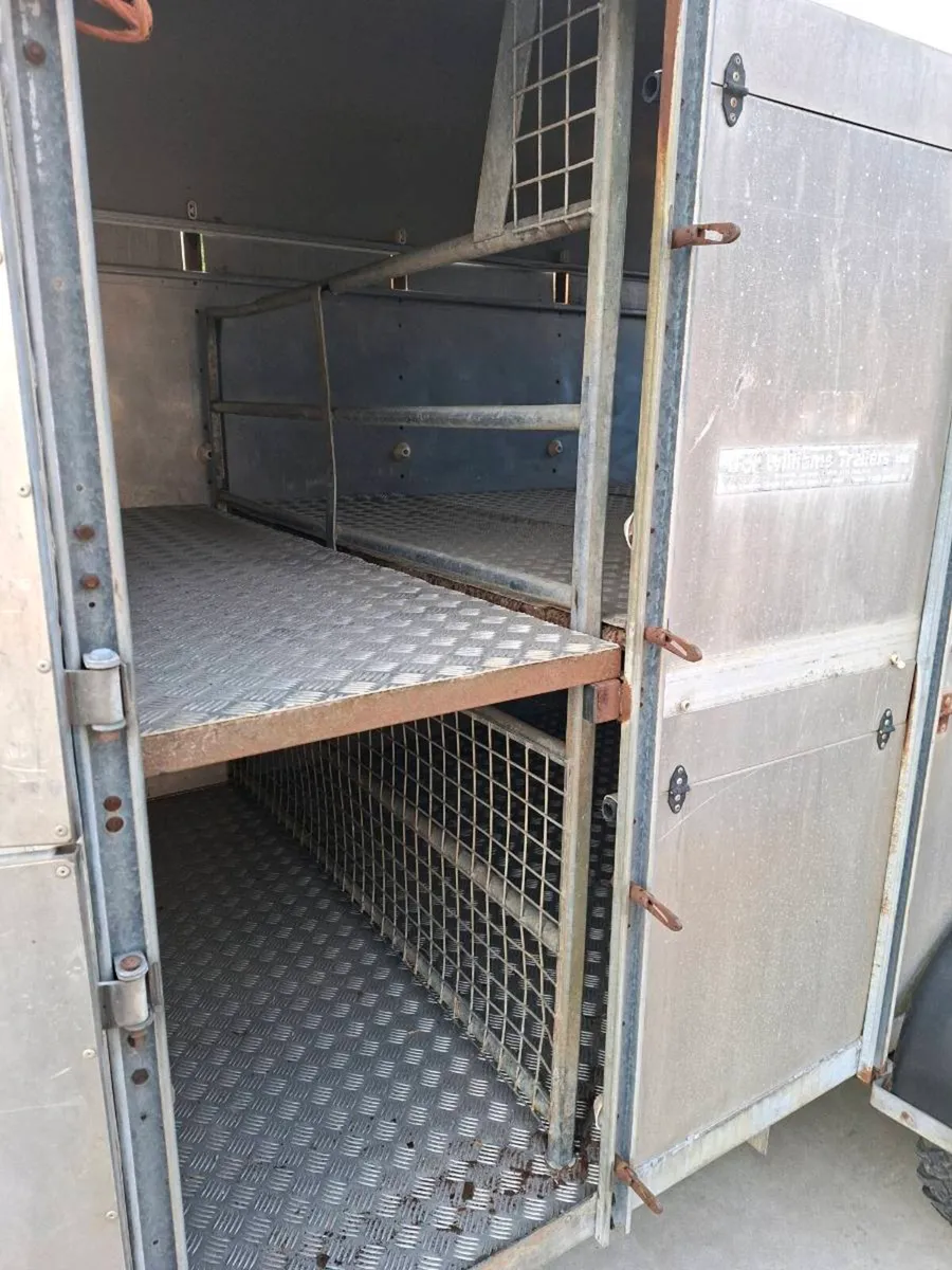 12 x6 ivor Williams high roof - Image 3