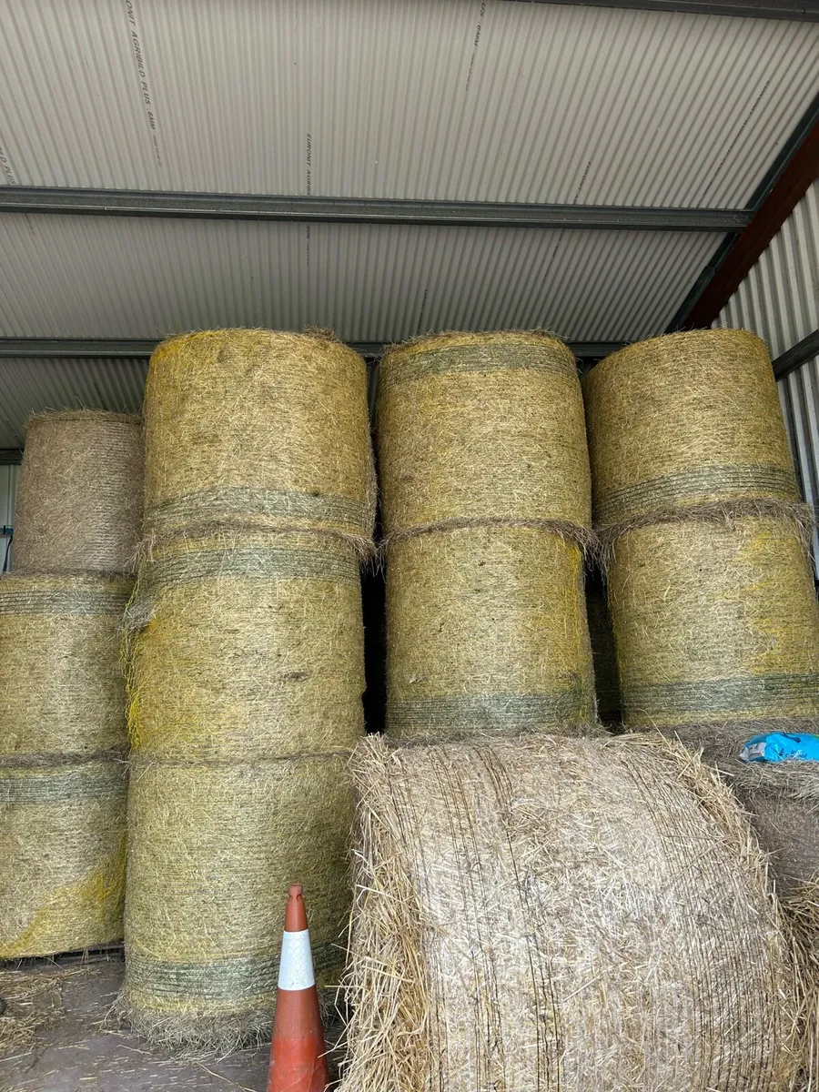Hay - Image 4
