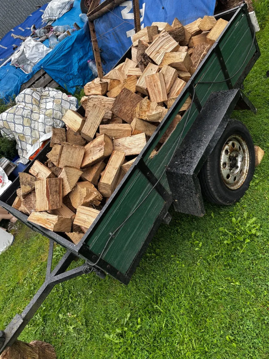Seasoned ash firewood - Image 1