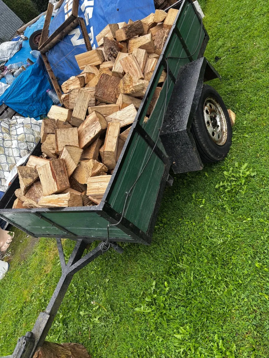 Seasoned ash firewood - Image 2
