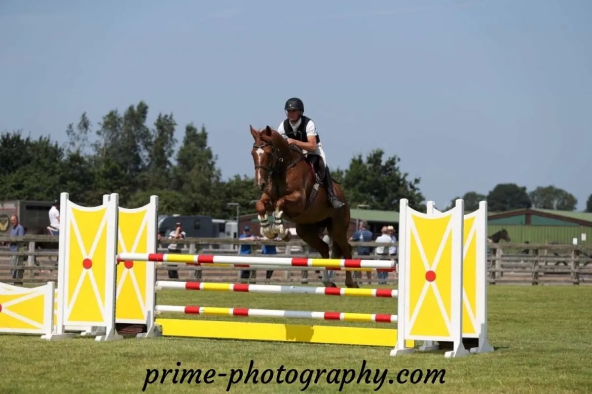 Expectional Allrounder - Image 3