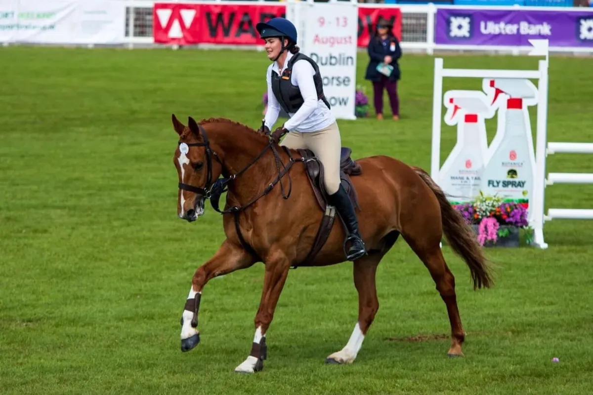 Expectional Allrounder - Image 1