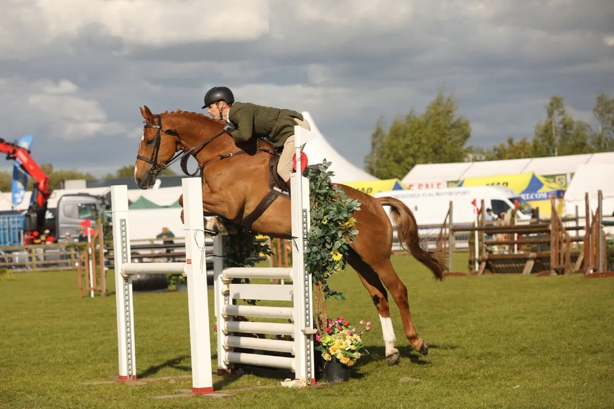 Expectional Allrounder - Image 4