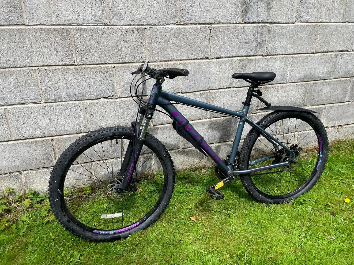 Bike - Image 1
