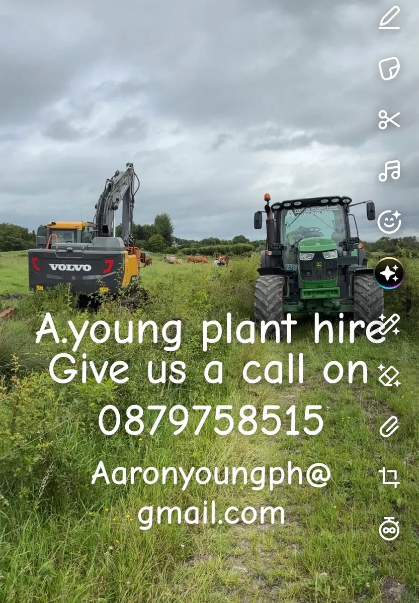 Plant hire / tree care&maintenance/groundwork - Image 1
