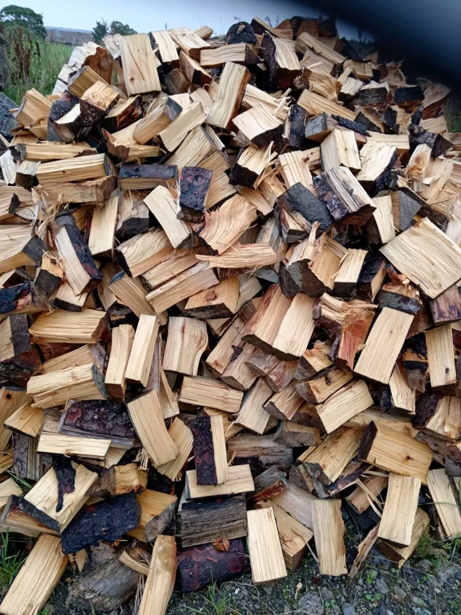 FIREWOOD SOFTWOOD - Image 2