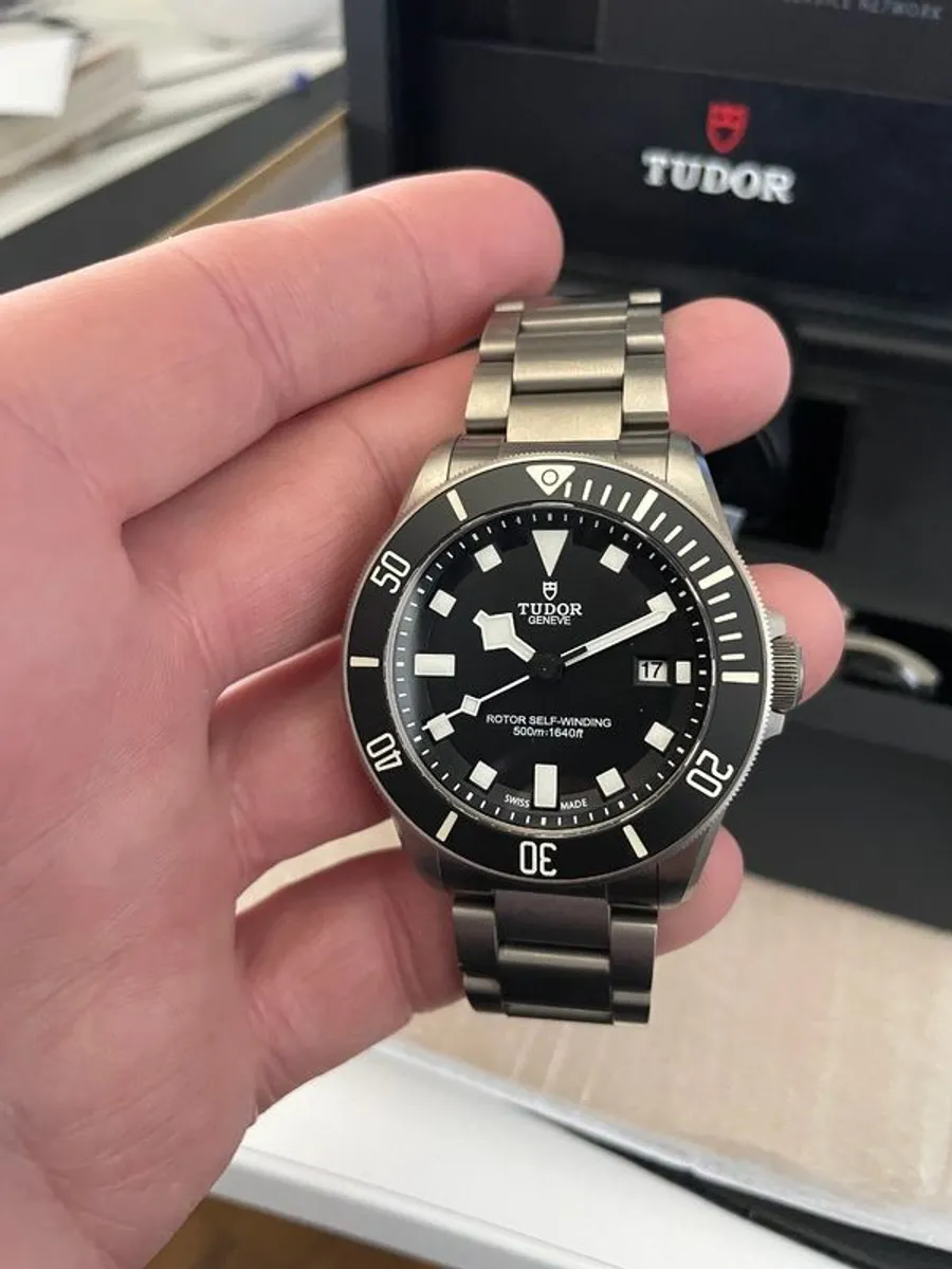 Tudor Pelagos - Image 2