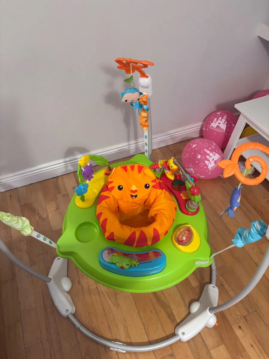 Fisher-Price Jumperoo | Excellent Condition - Image 2