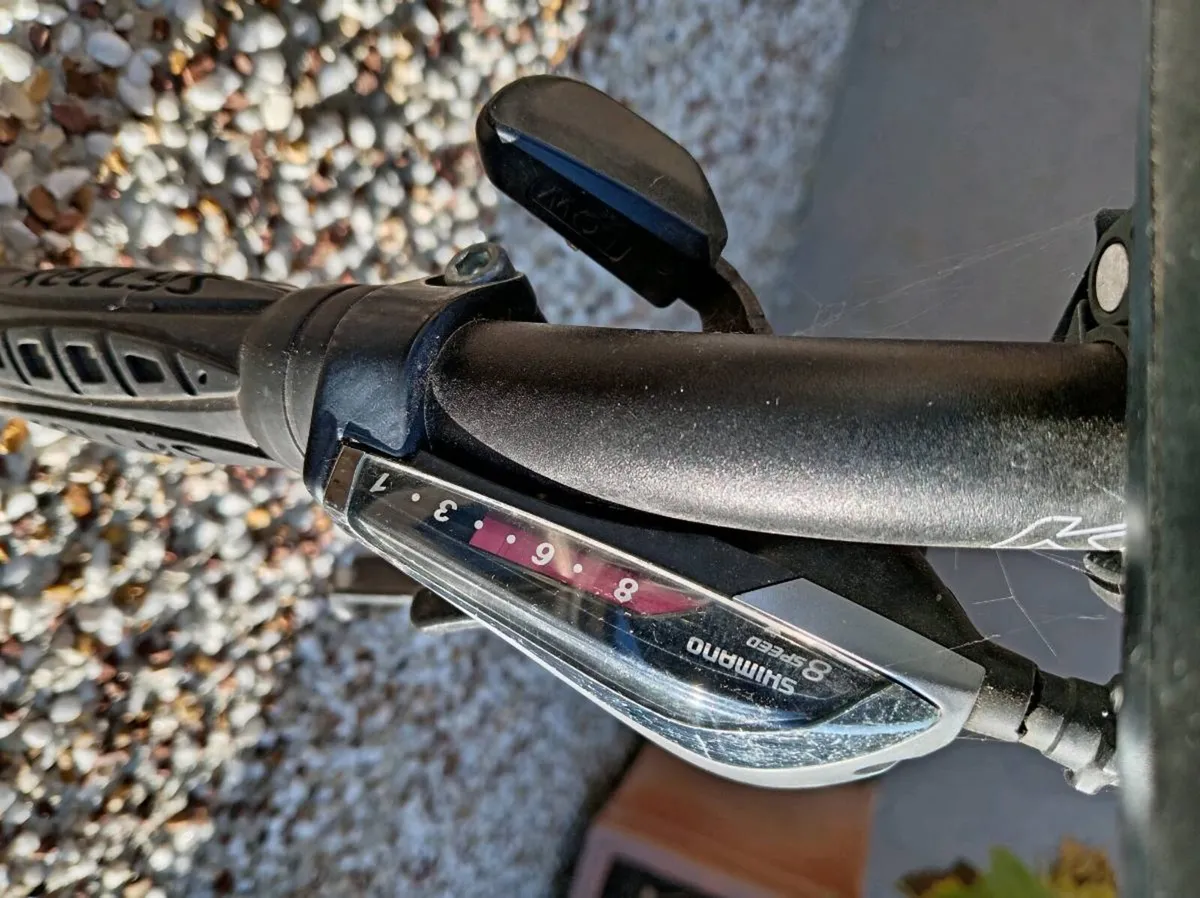 Ladies Bike - Image 2