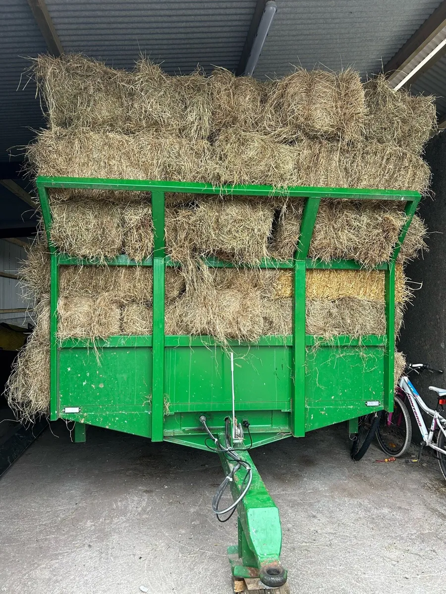 Hay - Image 2