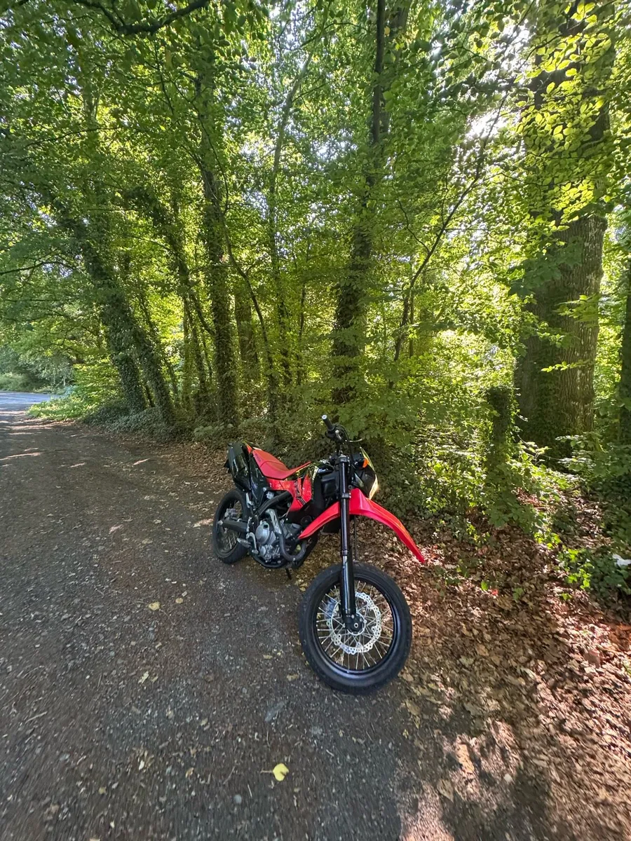Honda crf250M - Image 2