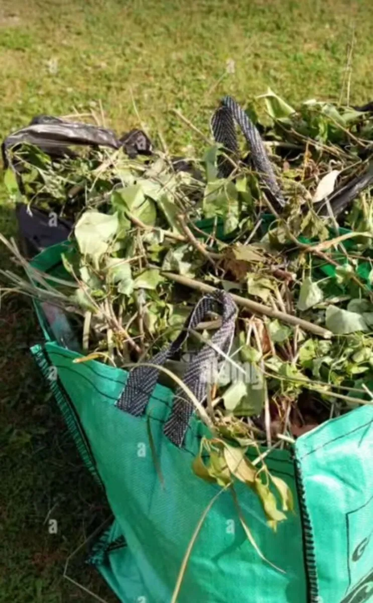 Rubbish removal - Image 2