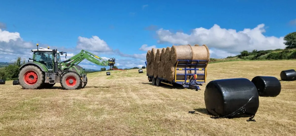 Hay for sale - Image 1