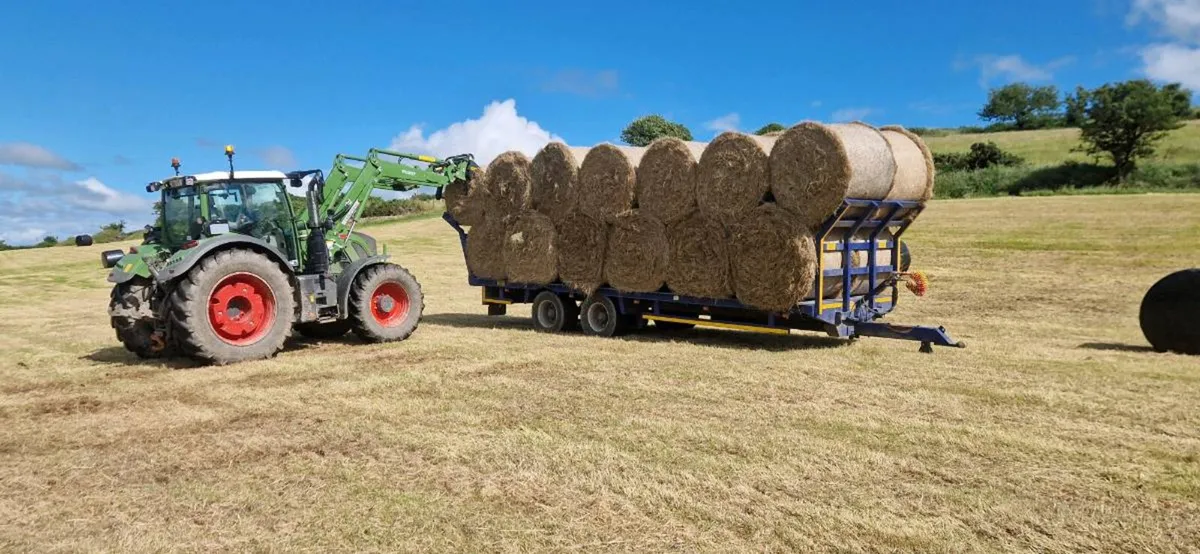 Hay for sale - Image 2