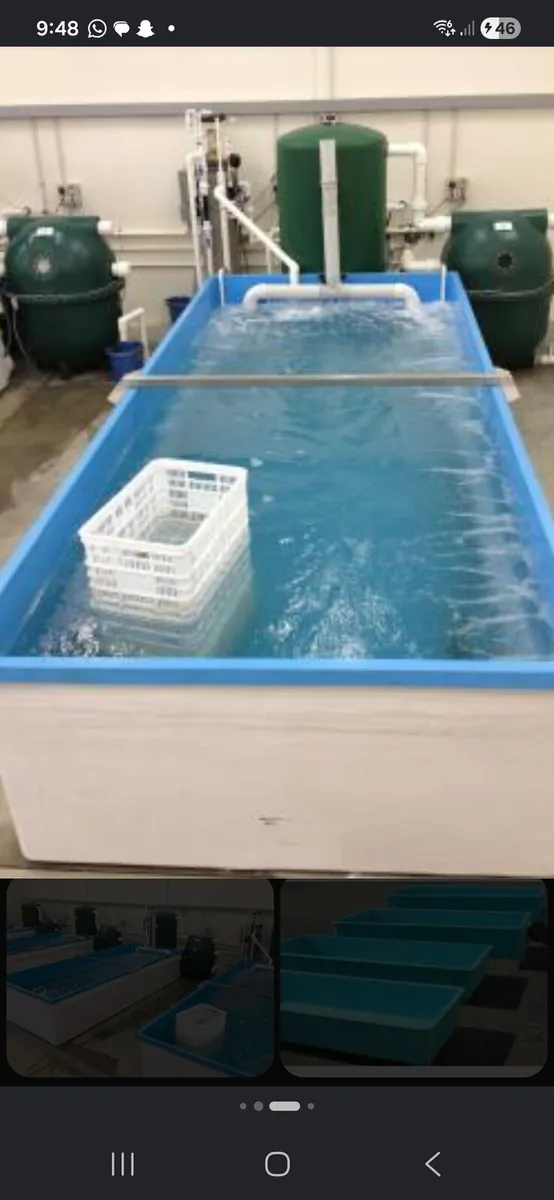 Lobster holding tanks