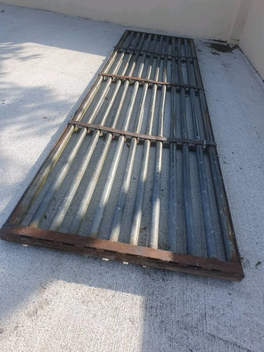 Cattle Grid - Image 2