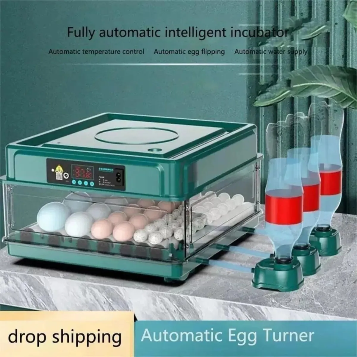 24 Egg Automatic Egg Hatching Machine - Image 3