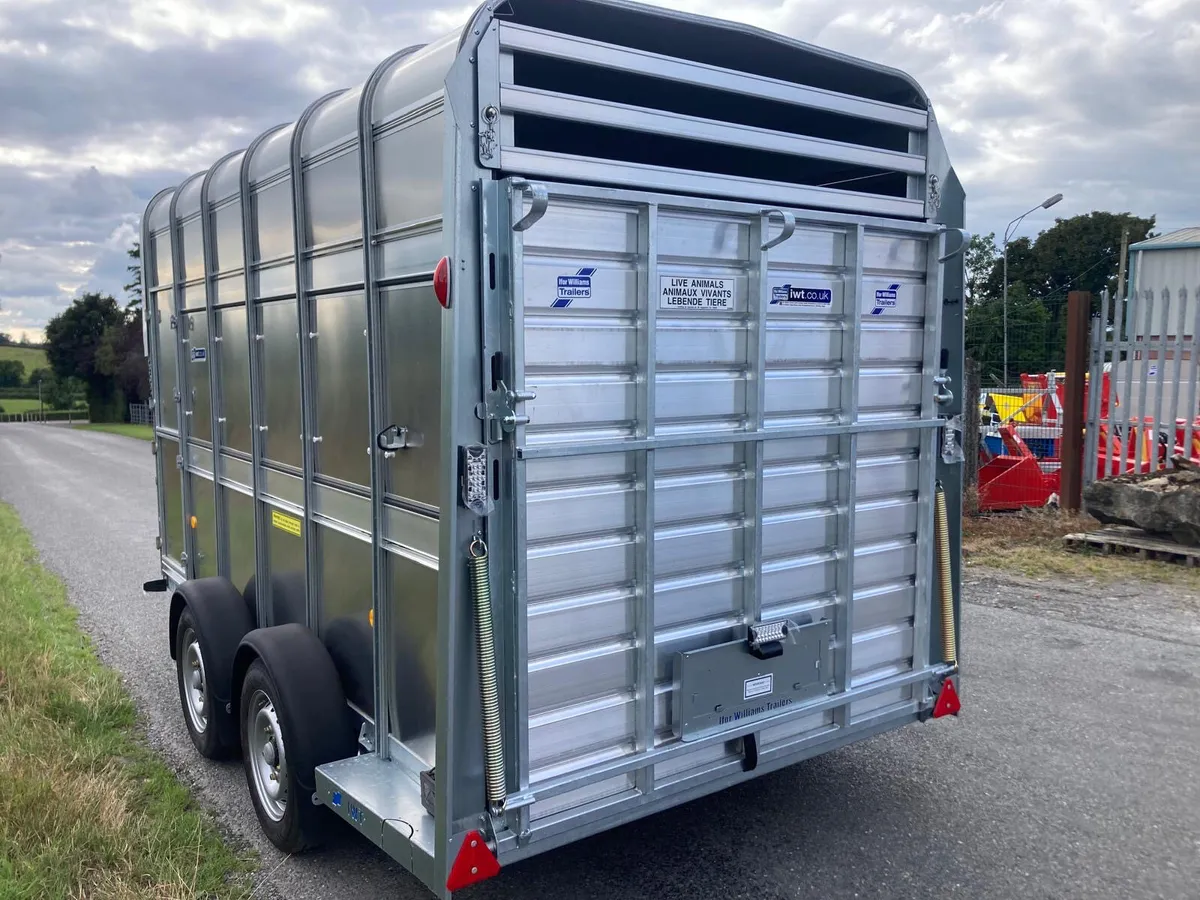 Available now-New Ifor Williams TA510 7ft Horsebox - Image 3