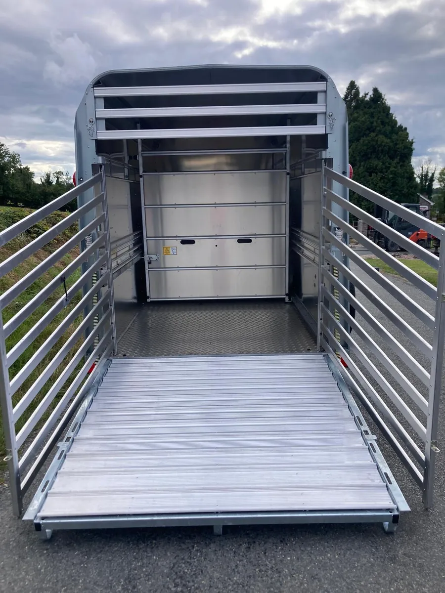Available now-New Ifor Williams TA510 7ft Horsebox - Image 4