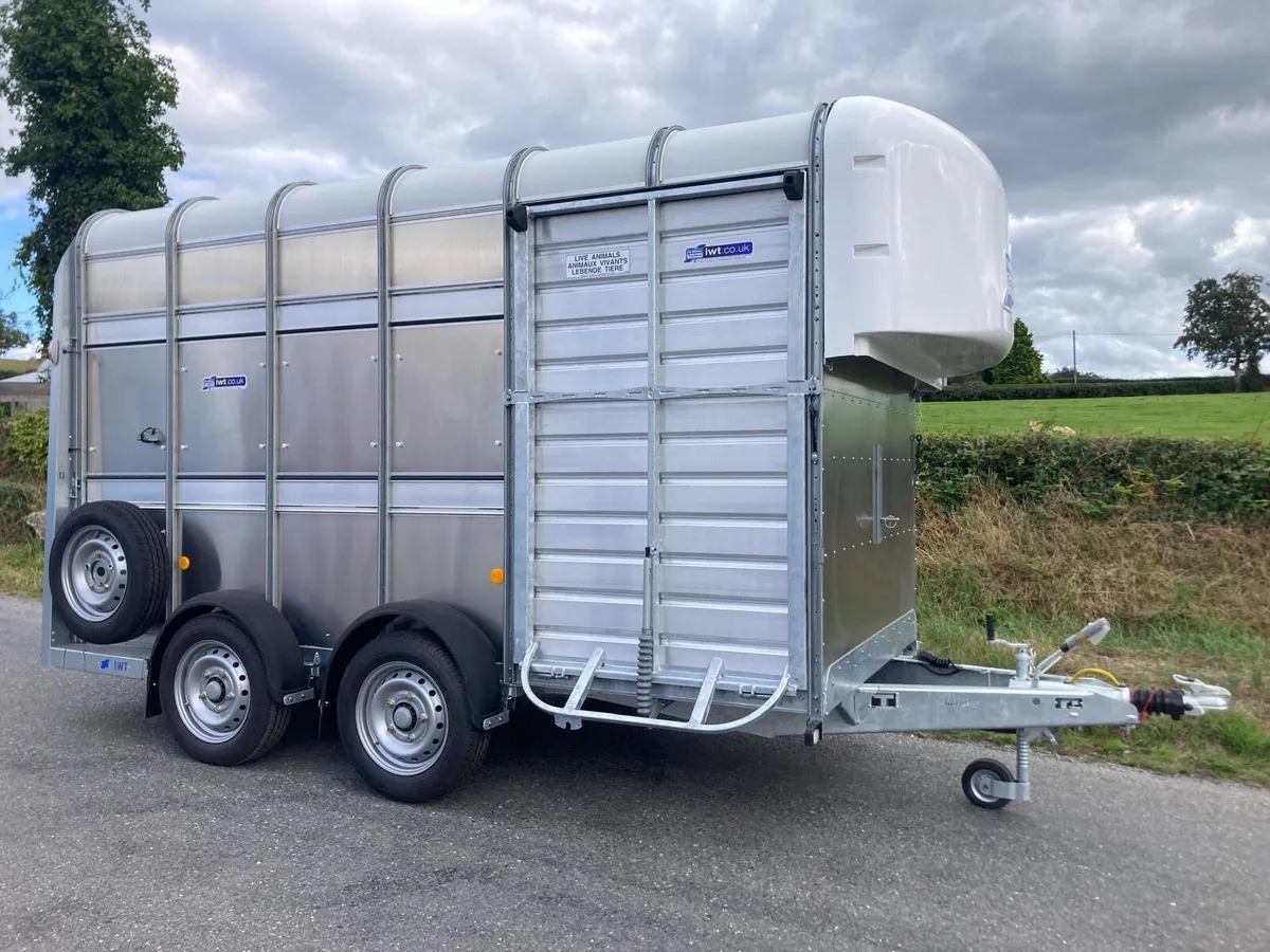 Available now-New Ifor Williams TA510 7ft Horsebox - Image 2