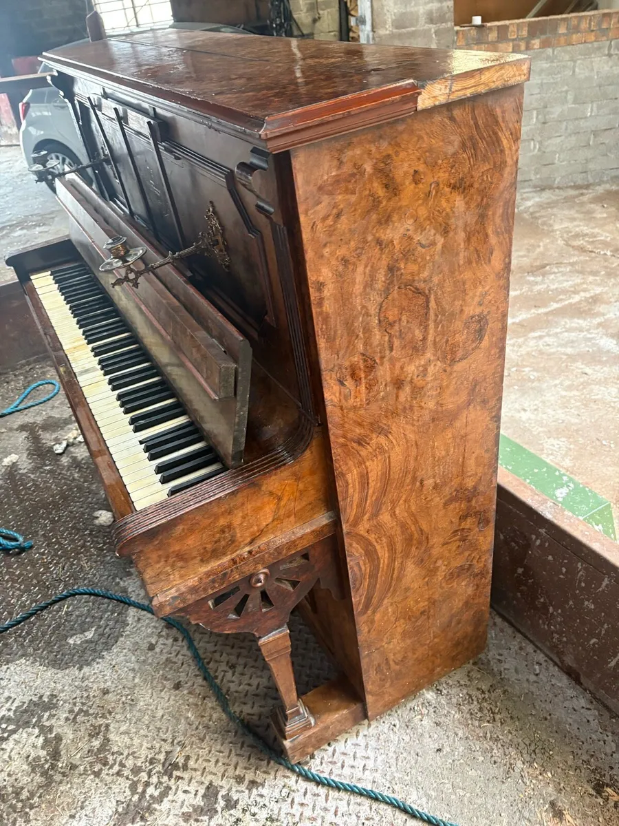Haake piano from Crane and Sons , Ltd - Image 3