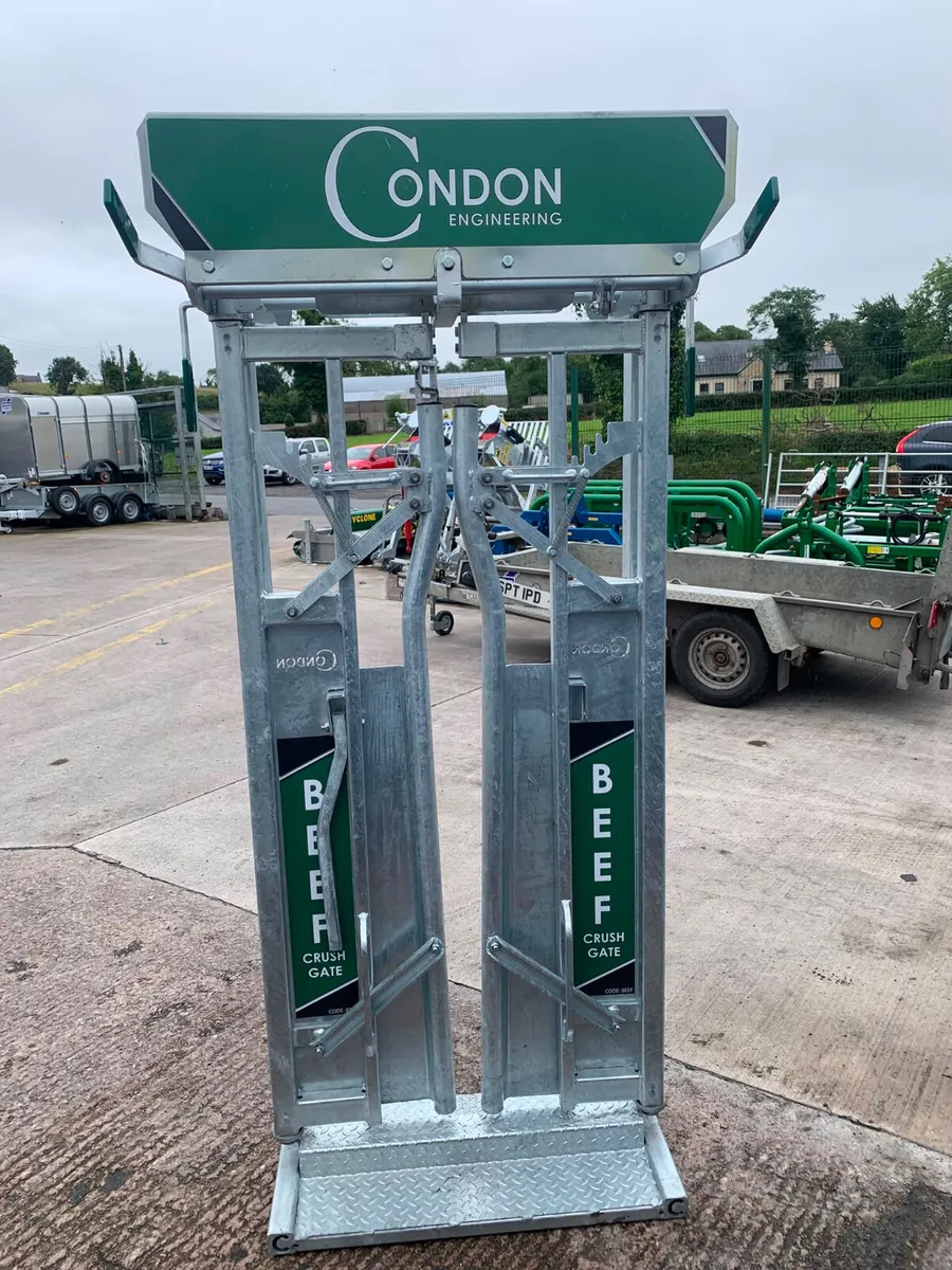 Condon engineering beef head gate in stock