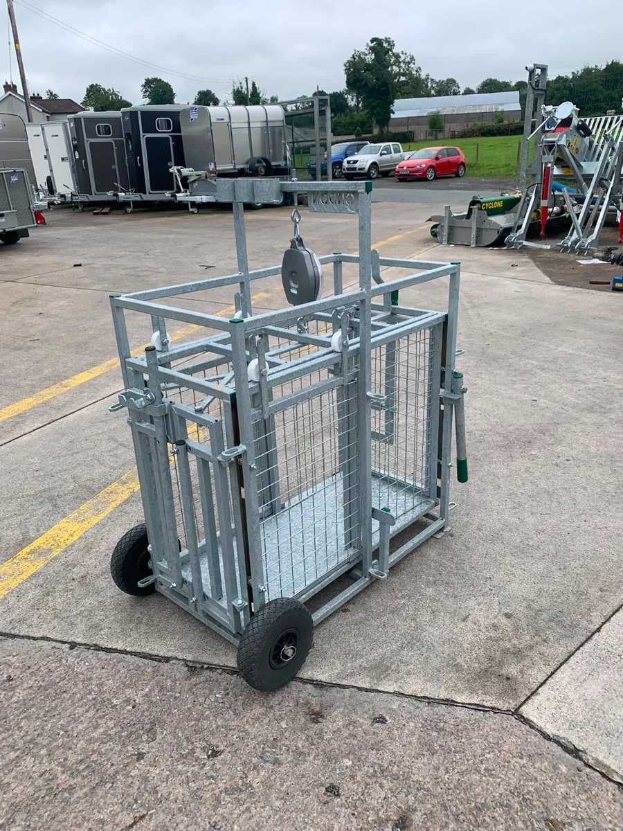 Condon engineering sheep weigh scales in stock - Image 2